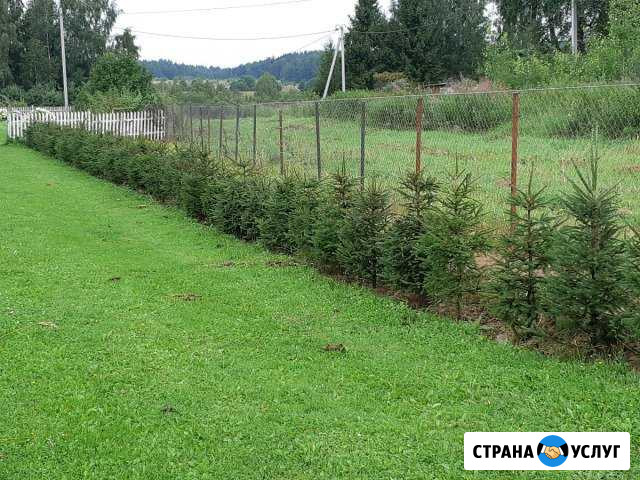 Вспашка земли,культивирование, облагораживание уча Ярославль - изображение 1