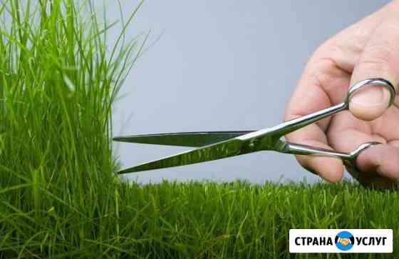 Покос травы, стрижка кустарников и спил деревьев Выборг
