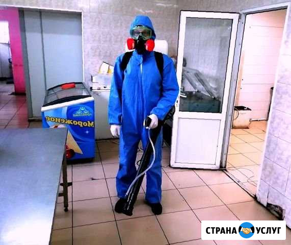 Уничтожение насекомых, грызунов. Гарантия, Договор Иркутск - изображение 1