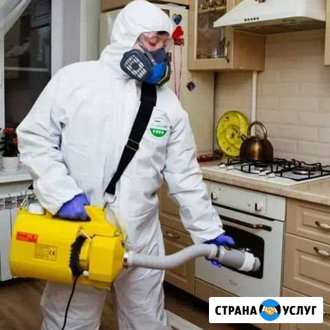 Дезинфекция.Обработка от клещей, тараканов, клопов Иваново - изображение 1
