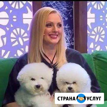 Стрижка собак и кошек Орёл - изображение 1