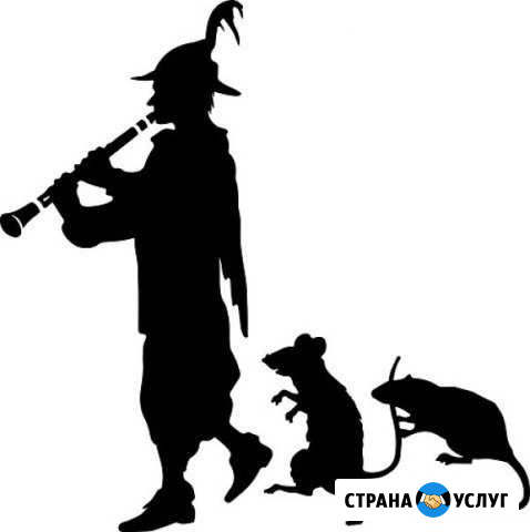 Дезинфекция, Дезинсекция и дератизация Владимир - изображение 1