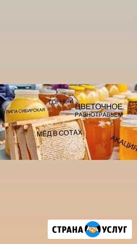 Мед Прокопьевск - изображение 1