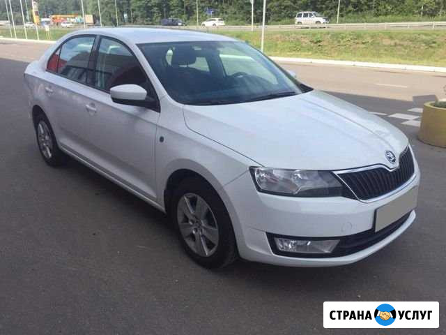 Автомобили в аренду Skoda rapid и Skoda oktavia Санкт-Петербург - изображение 1