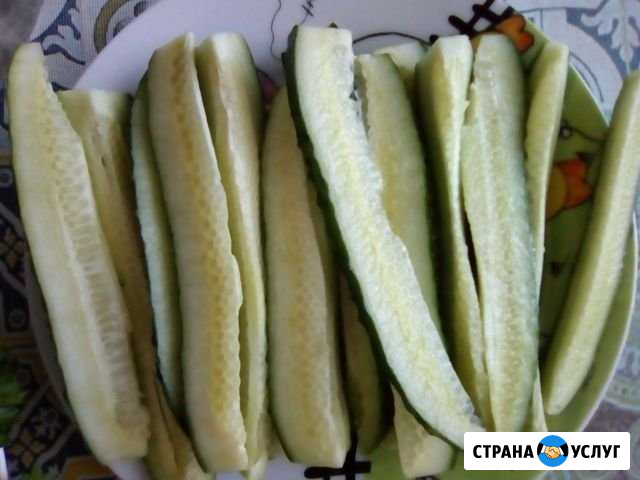 Продам огурцы оптом Парфино - изображение 1