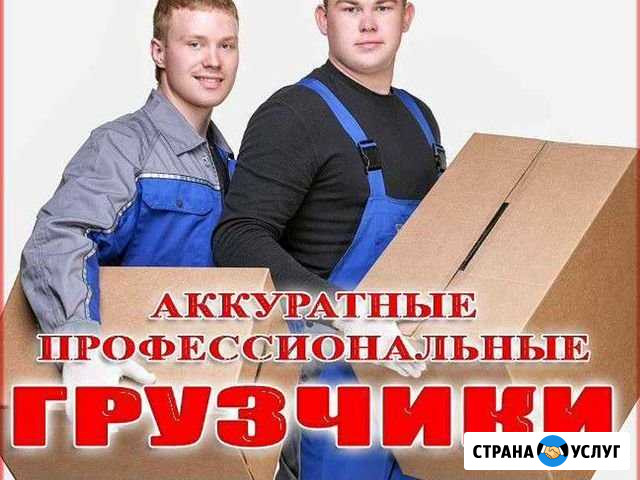 Грузчики Тула - изображение 1