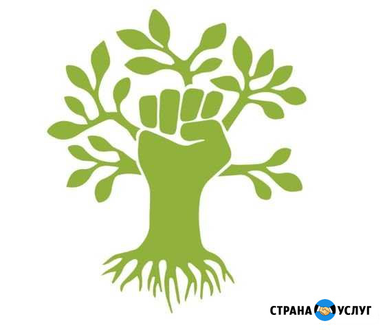 Строительство, ремонт квартир Киров - изображение 1