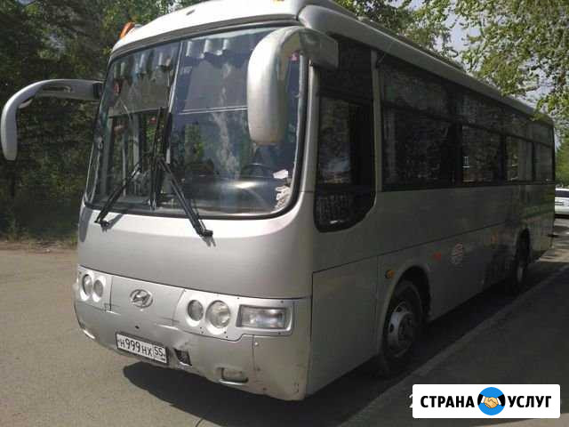 Перевозки пассажиров Омск - изображение 1