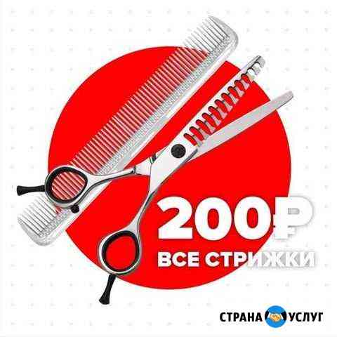 Парикмахерская Чио Чио Балаково