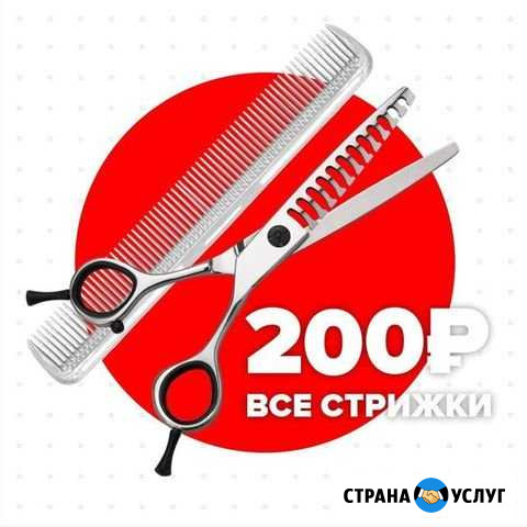 Парикмахерская Чио Чио Балаково - изображение 1