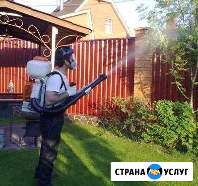 Обработка от клещей и комаров Курган - изображение 1