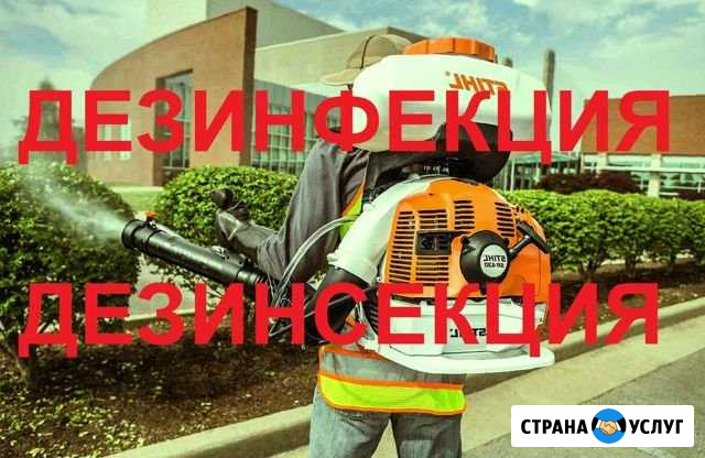Дезинфекция от клопов тараканов плесени мышей Икша - изображение 1