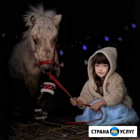 Фотосессии на лошади и пони, прокат Вологда - изображение 1