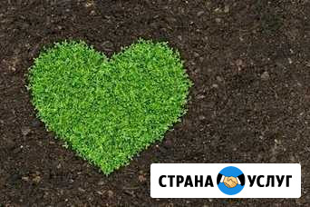 Планировочный грунт Воскресенск - изображение 1