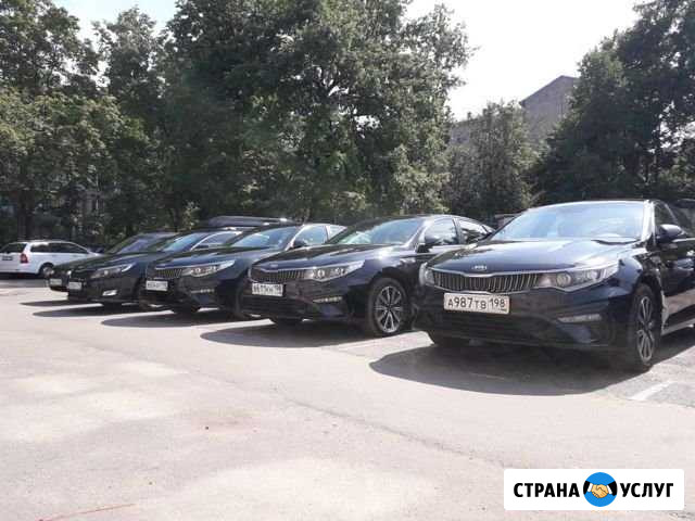 Киа оптима в аренду Ломоносов - изображение 1
