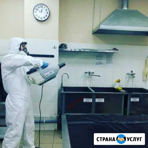 Уничтожение клопов, уничтожение тараканов Челябинск - изображение 1
