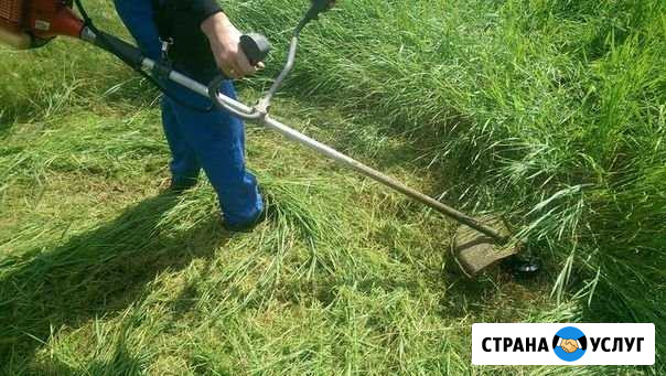 Скос травы триммером Кольчугино - изображение 1