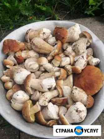 Продаю свое Куровское