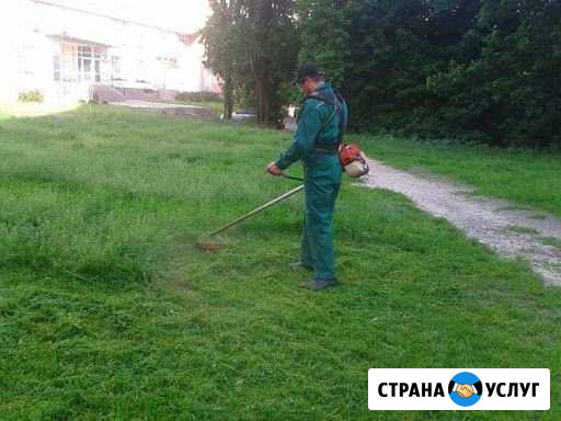 Скос травы Куйтун - изображение 1