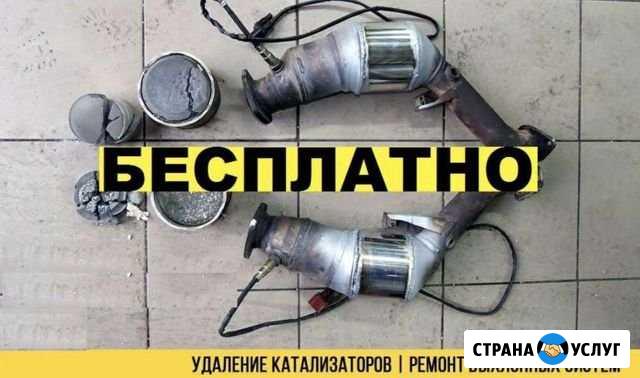 Бесплатное удаление катализатора Еманжелинск Еманжелинск - изображение 1