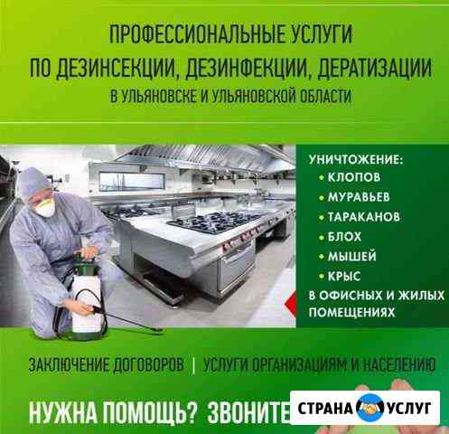 Уничтожение муравьев, тараканов, клопов, блох, кле Ульяновск