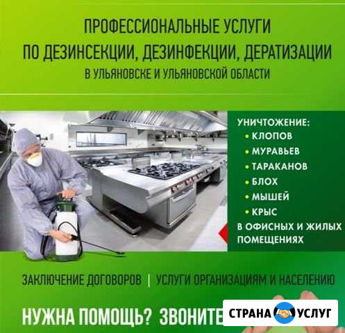Уничтожение муравьев, тараканов, клопов, блох, кле Ульяновск - изображение 1