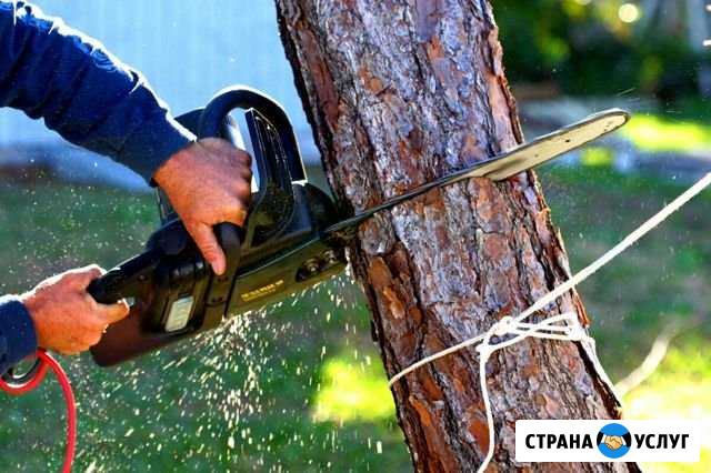 Демонтаж, Спил, покос, копка, вывоз мусора Волжский Волгоградской области - изображение 1