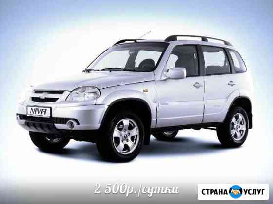 Аренда прокат Niva Chevrolet, UAZ Новый Уренгой