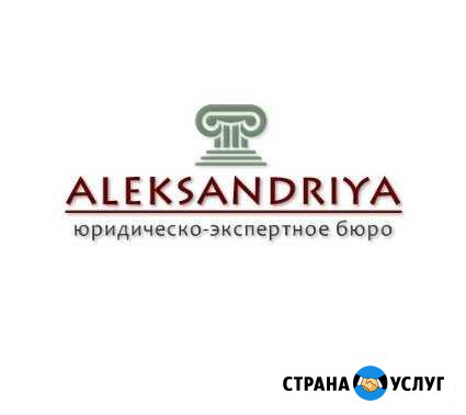 Юристы профессионалы Раменское - изображение 1