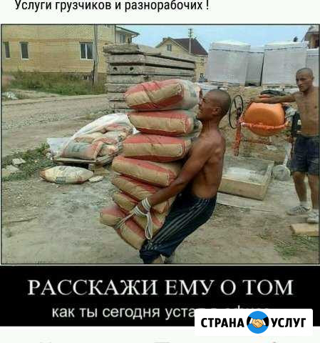 Грузчики, переезды, спец техника Петропавловск-Камчатский - изображение 1