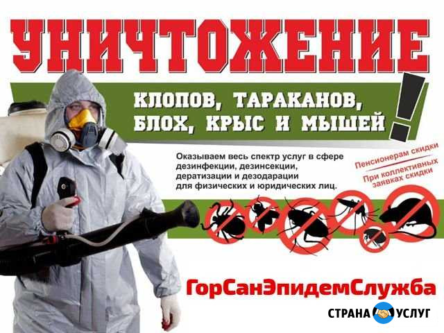 Уничтожение тараканов, клопов, клещей, мышей, крыс Тюмень - изображение 1