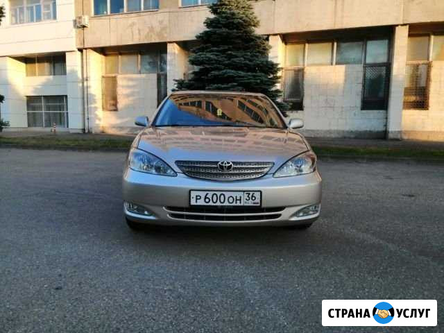 Заправка авто кондиционеров Краснодар - изображение 1