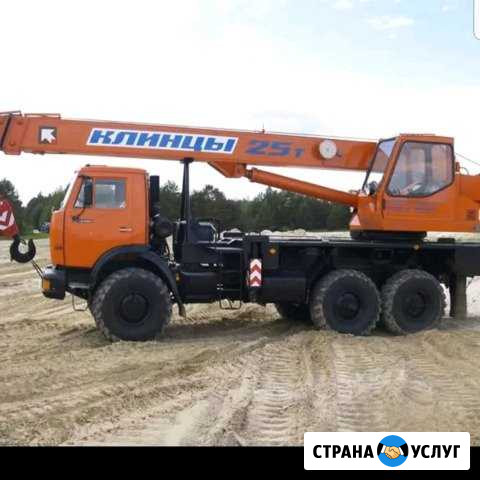 Спец техника любая Бабаево - изображение 1