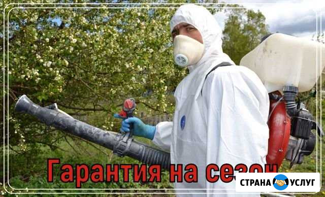 Обработка участка от клещей, кротов, борщевика, ос Зеленоград - изображение 1