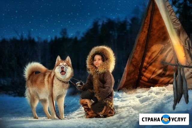 Хаски на фотосессию Красные Ткачи - изображение 1