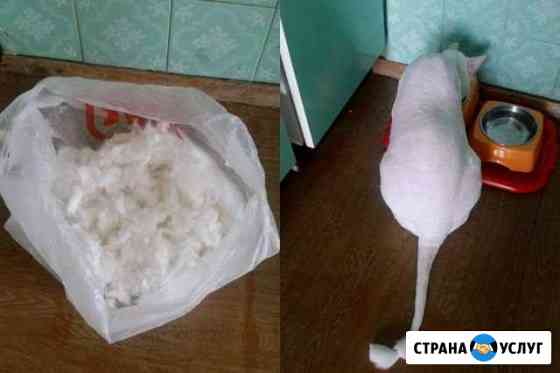 Стрижка собак И кошек Сочи