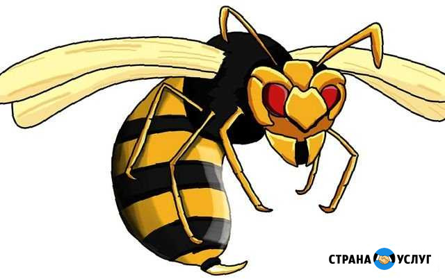 Уничтожение клещей, землероек, ос, осиного гнезда Архангельск - изображение 1