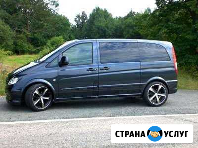 Перевозка животных Сочи - изображение 1