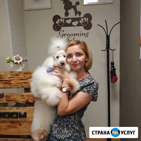 Стрижка собак и кошек в Черногорске Черногорск - изображение 1