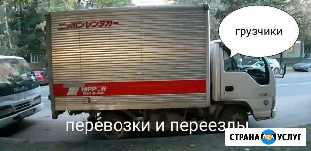 Регулярные грузоперевозки чкаловск-нижний Новгород Линда - изображение 1