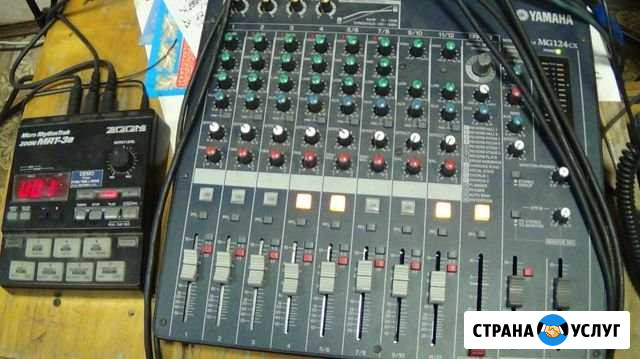 Озвучка мероприятий Ведущая и DJ Змиёвка - изображение 1
