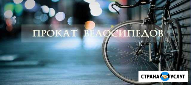 Прокат велосипедов Благовещенск - изображение 1