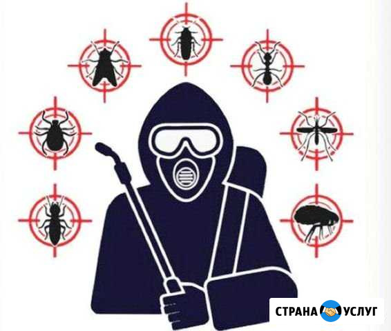Дезинфекция. Лицензия. Обработка от вирусов Петрозаводск - изображение 1