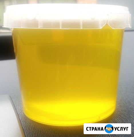 Липовый мёд со своей пасеки 2020г Хабаровск - изображение 1