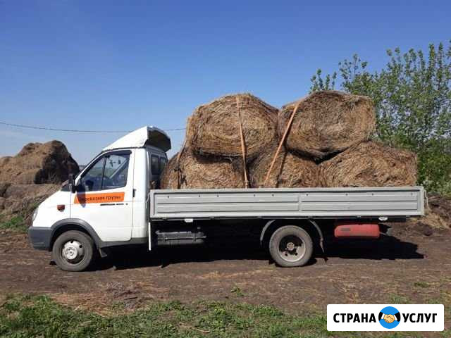 Грузоперевозки (газель 4.2м) Прокопьевск - изображение 1