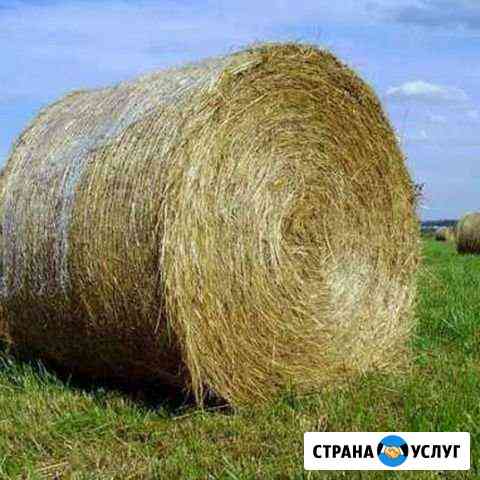 Сено Давлеканово