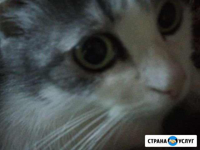 Учитель битбокса Тула - изображение 1