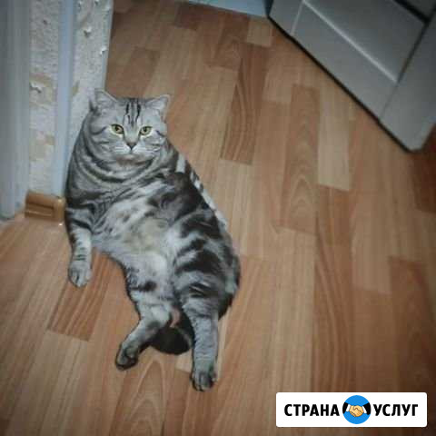 Вязка Уфа - изображение 1