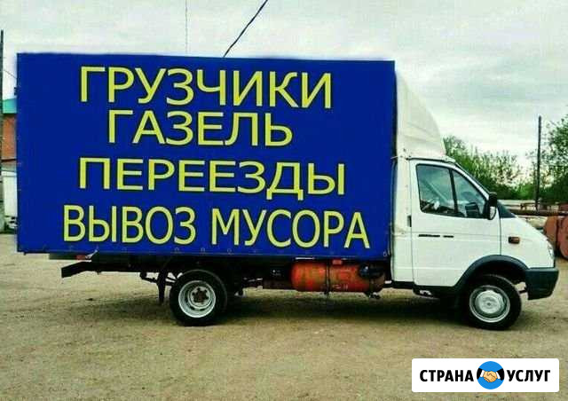 Газель Заинск - изображение 1