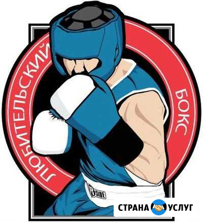 Бокс Динамо Томск - изображение 1